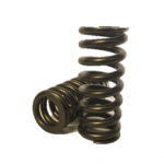 6.7l SCORPION Valve Springs