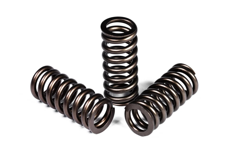 6.0 / 6.4 Powerstroke Heavy Duty Valve Springs (PP-HDVS)